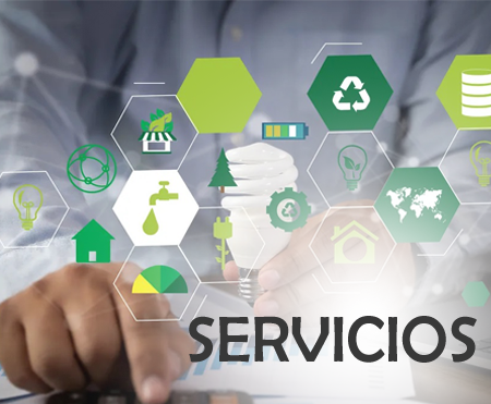 Servicios